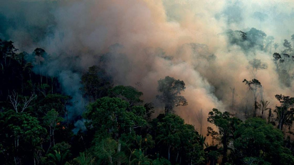 Incêndios na Amazônia devastaram cerca de 67 mil quilômetros quadrados da floresta em 2024